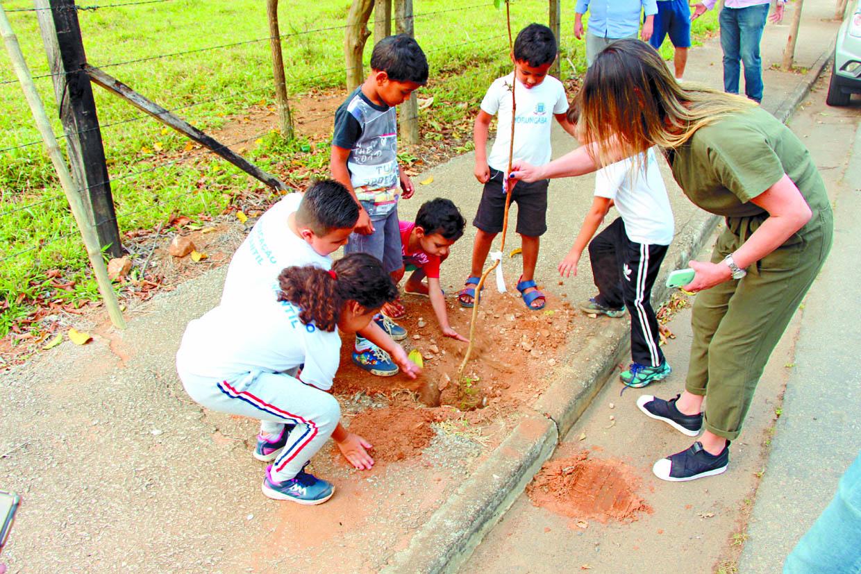 Prefeitura de Morungaba realiza plantio de mudas