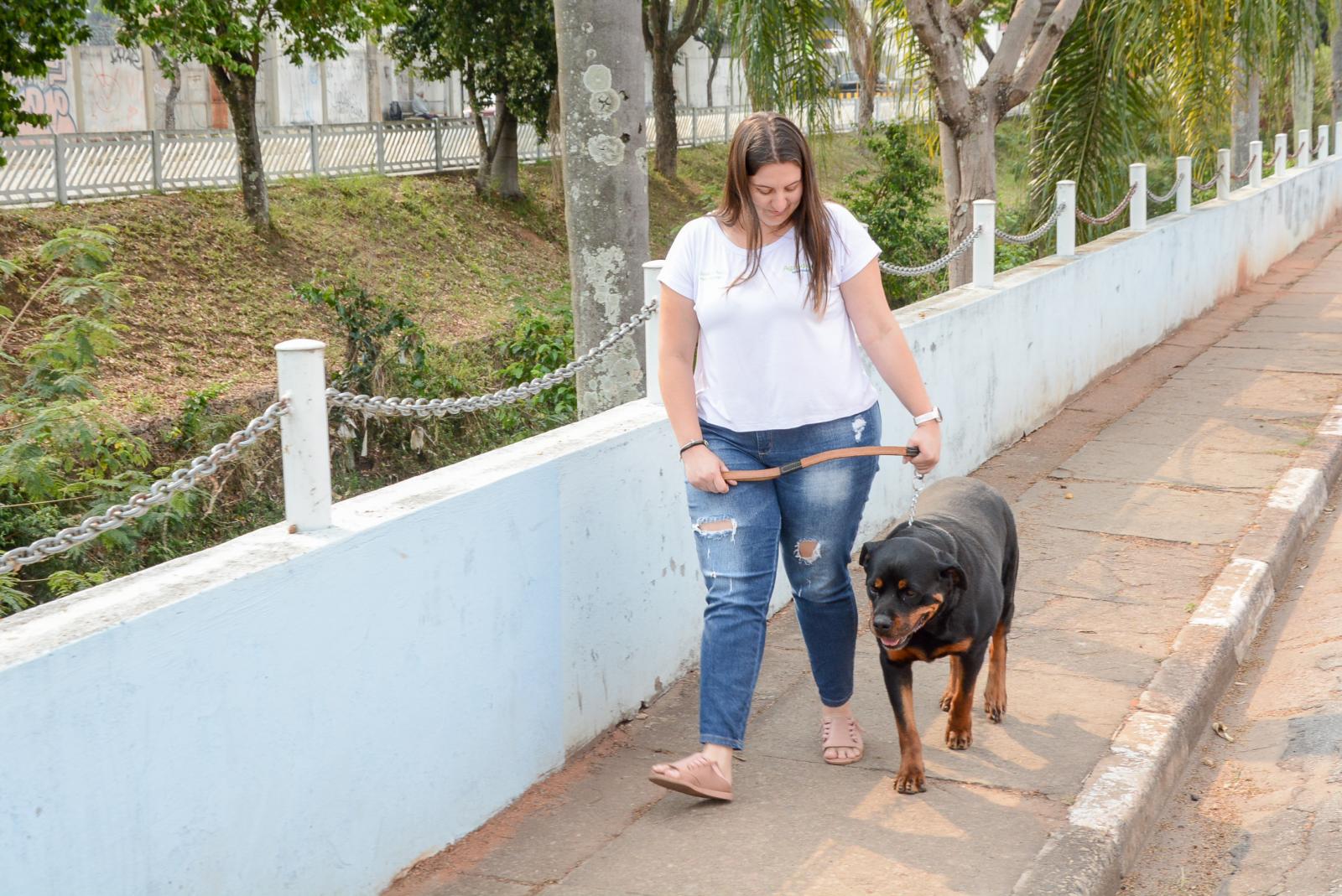 Veterinária recomenda que cães saiam para passear com coleiras contra leishmaniose 