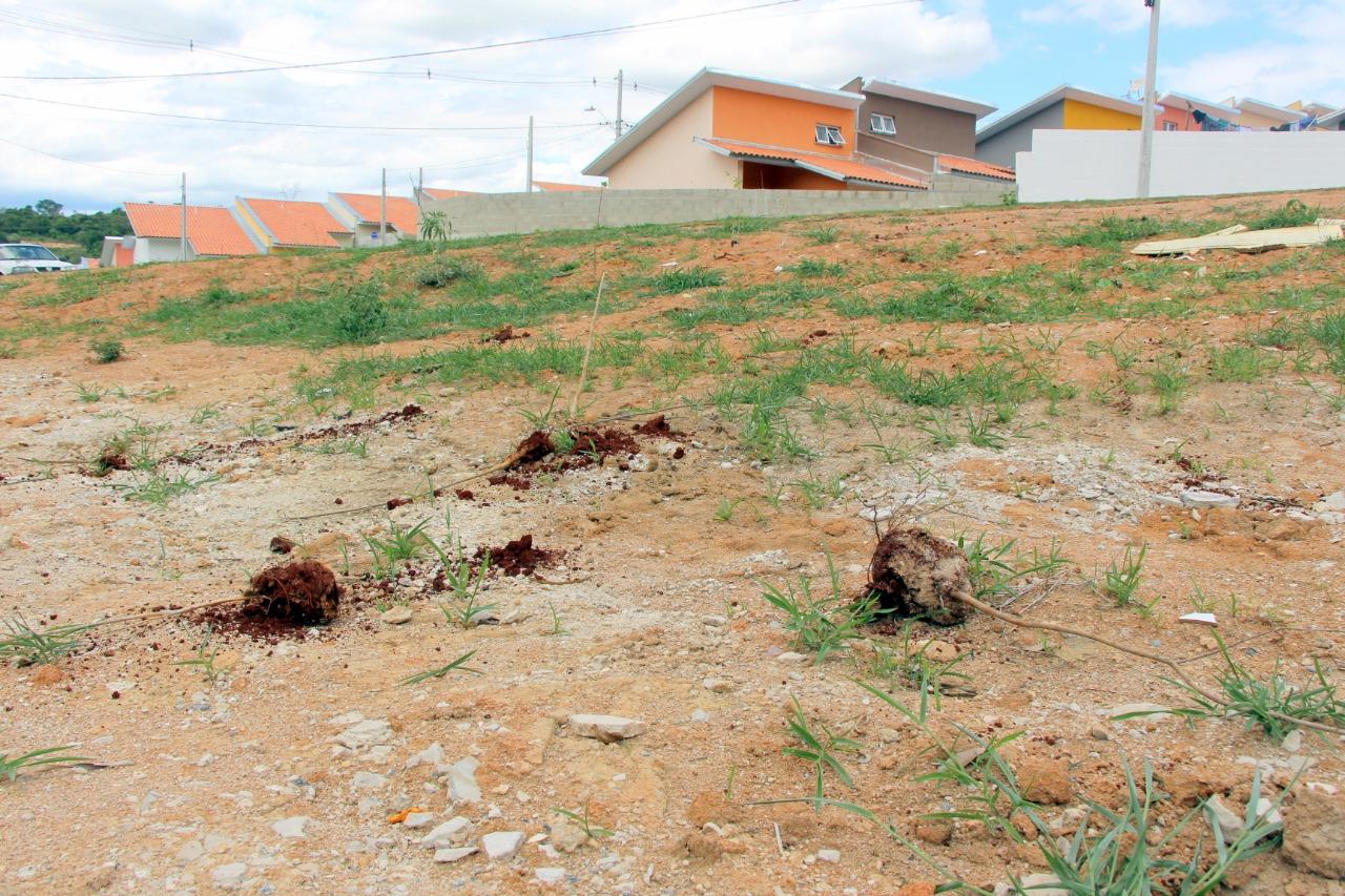 Atos de vandalismo são registrados no Núcleo Residencial Santa Luz