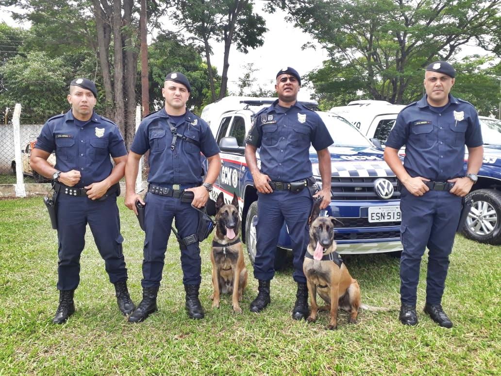 Canil de Itatiba conquista medalha no Campeonato de Cães em Monte Mor