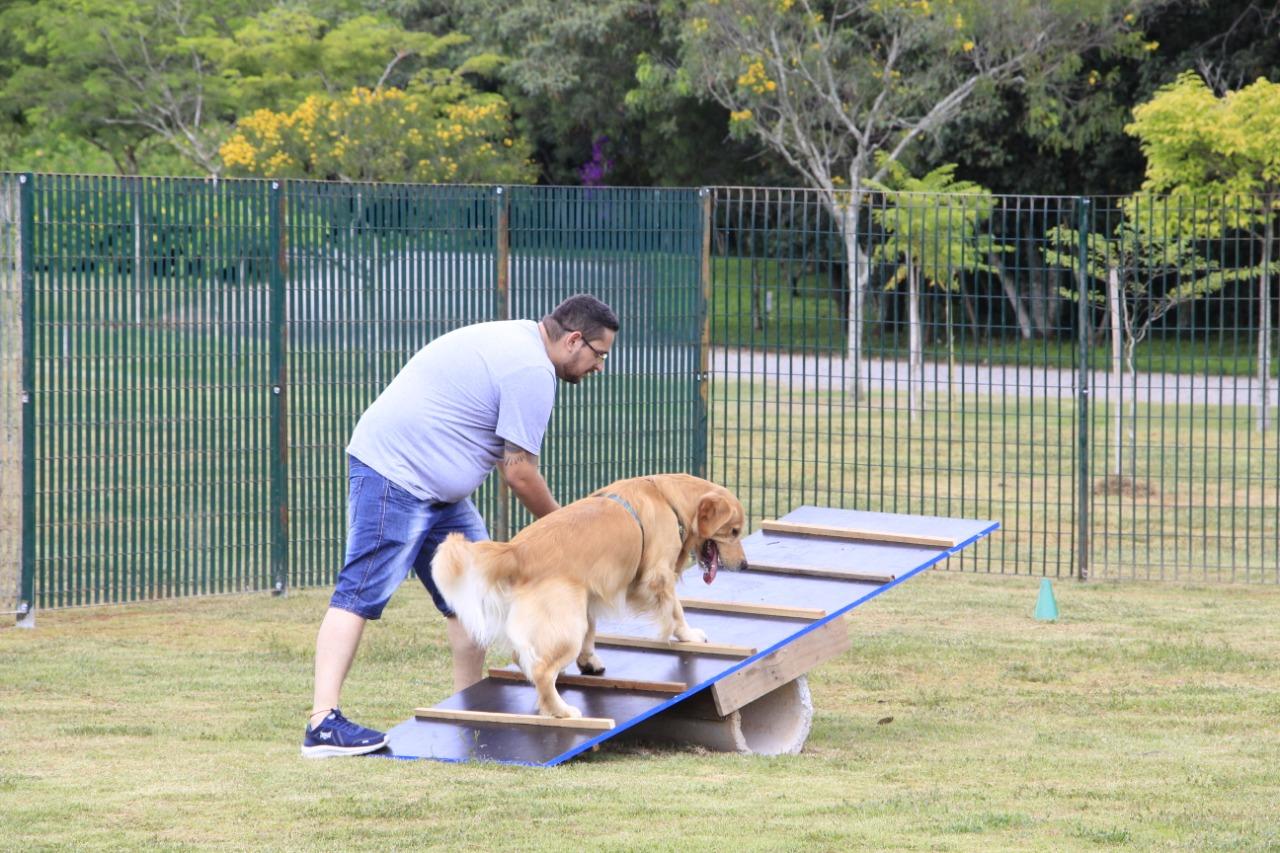 Parque Luís Latorre ganha espaço recreativo para cães