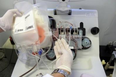 Pesquisadores de SP testam tratamento com anticorpos