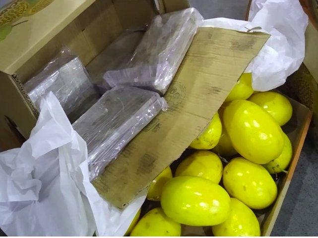 Receita Federal e PF apreendem cocaína em carga de frutas em Viracopos 