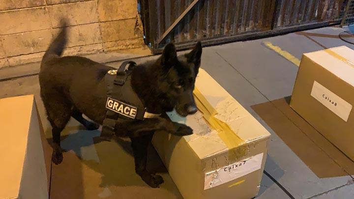 Receita Federal apreende cocaína em carga de exportação no aeroporto de Guarulhos