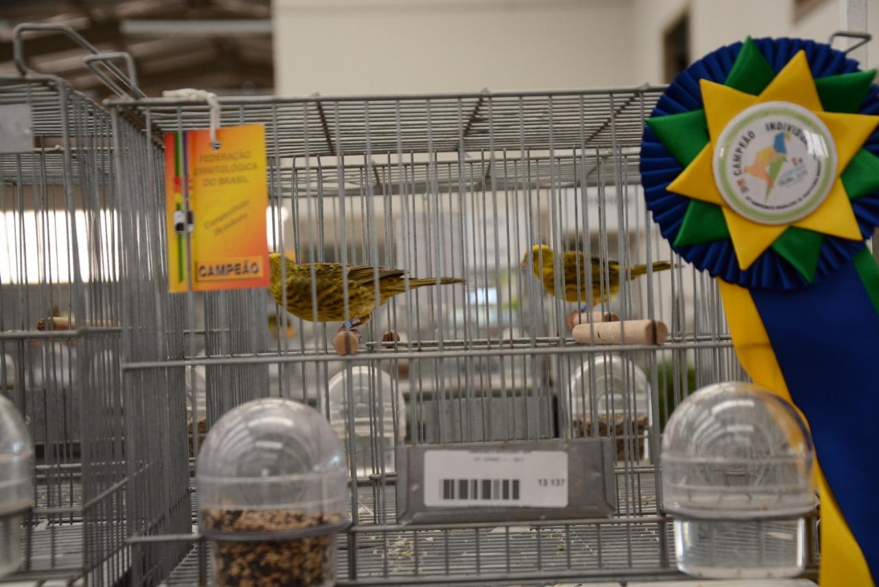 FOB cancela Campeonato Brasileiro de Ornitologia