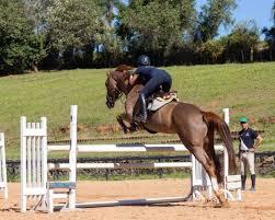 Itatiba sedia competição nacional de Hipismo de Salto