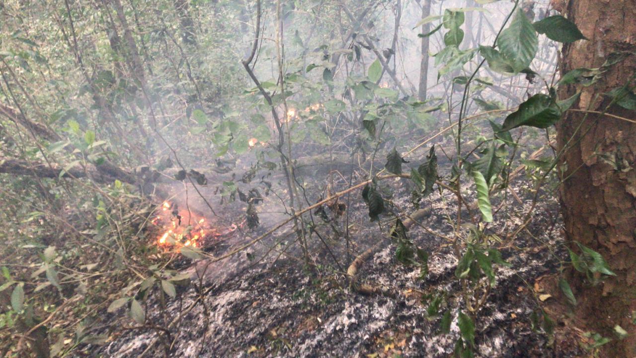 Incêndio se alastra e atinge Fazenda Malabar em Itatiba