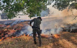 Período de estiagem aumenta risco de incêndios em áreas de vegetação
