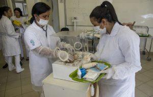 Enfermagem é o curso técnico mais concorrido do Vestibulinho das Etecs