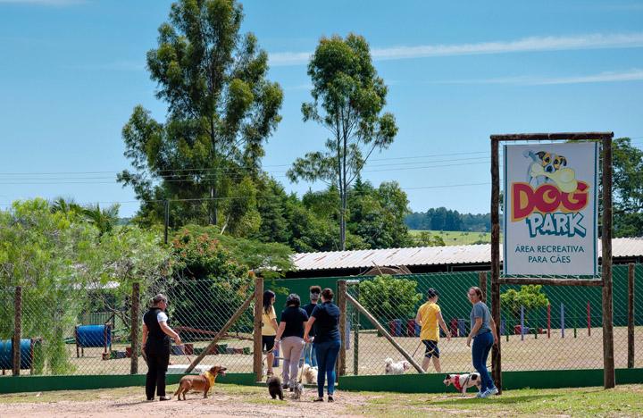 Fuja das praias lotadas e vá curtir o Carnaval no Brotas Eco Hotel Fazenda 