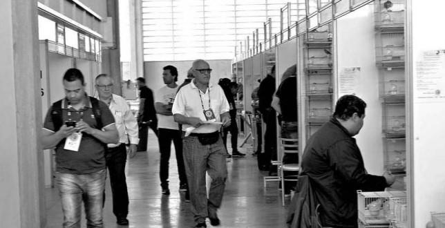 Projeto on-line é criado para transmitir conhecimento técnico sobre cultura de criação de aves