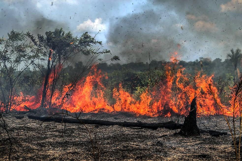 Prefeitura de Morungaba alerta sobre a proibição de queimadas no município