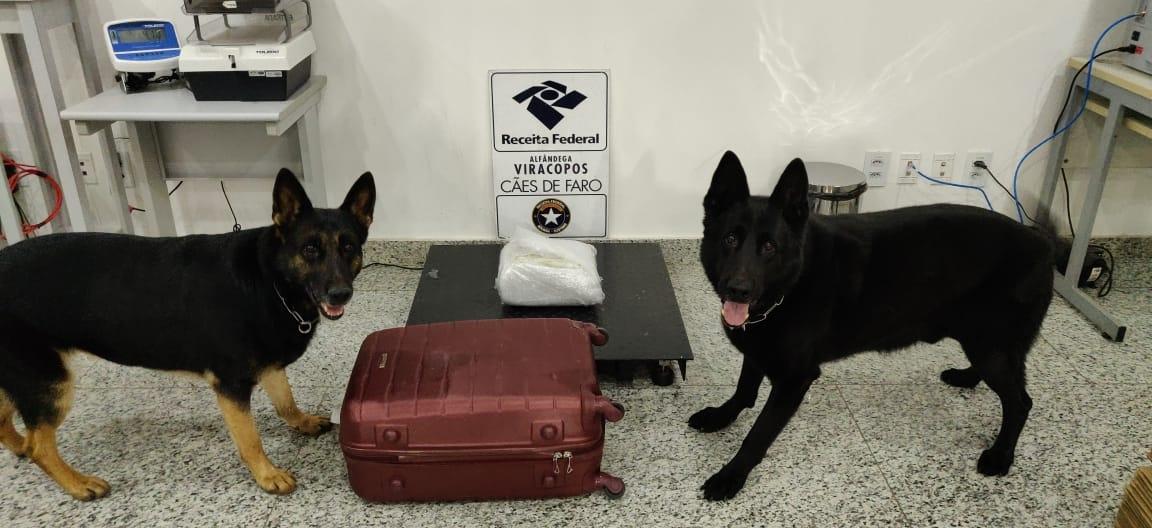 Receita Federal em Viracopos apreende 4 kg de haxixe em bagagem de voo doméstico