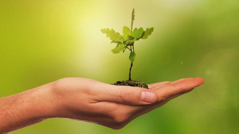 Dia Mundial do Meio Ambiente será celebrado com peixamento em Itatiba