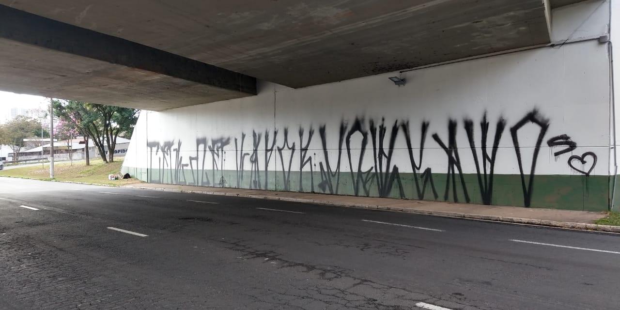 Viadutos recém pintados sofrem atos de vandalismo em Valinhos