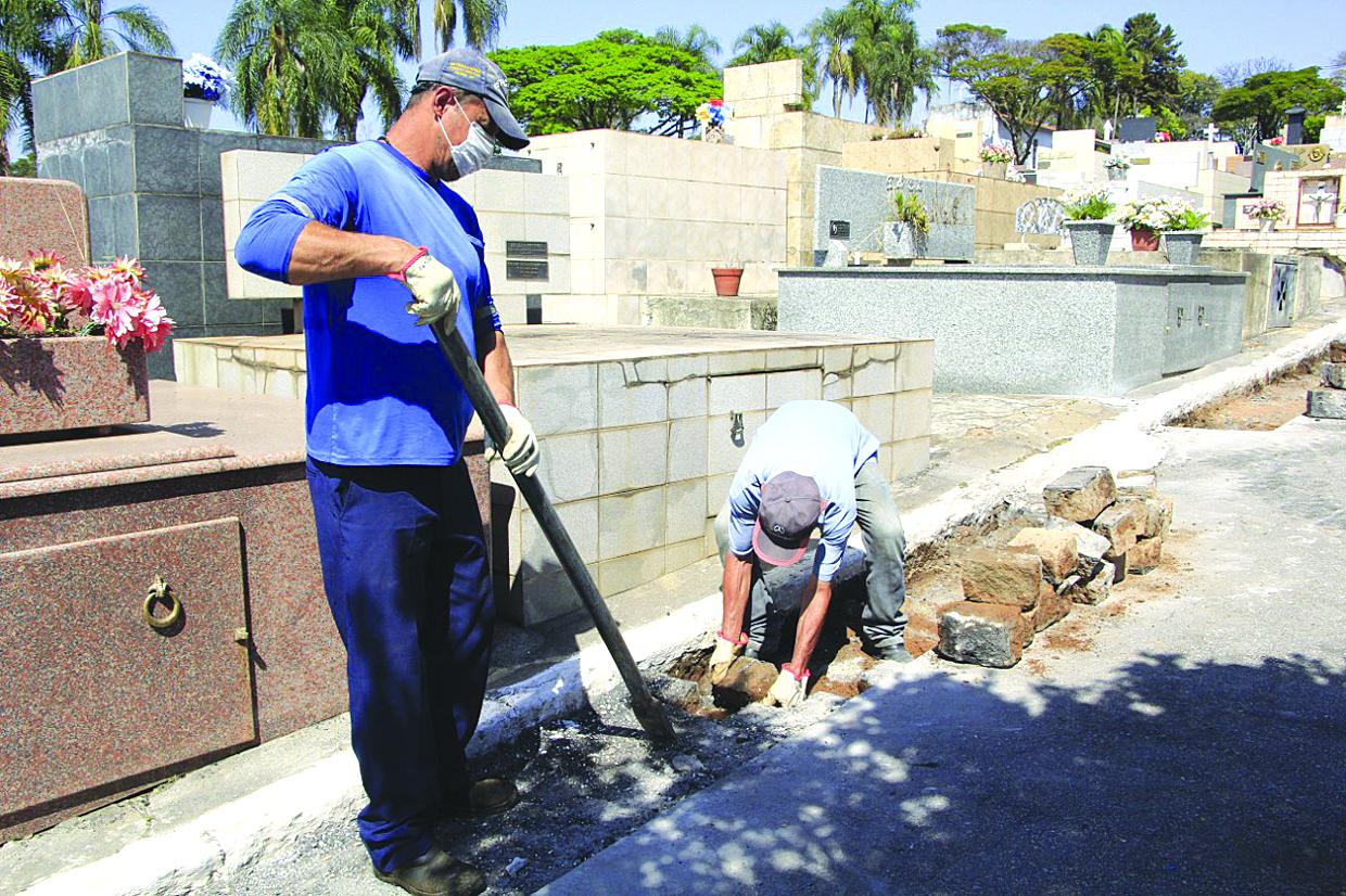 Árvores no Cemitério do Santíssimo começam a ser substituídas