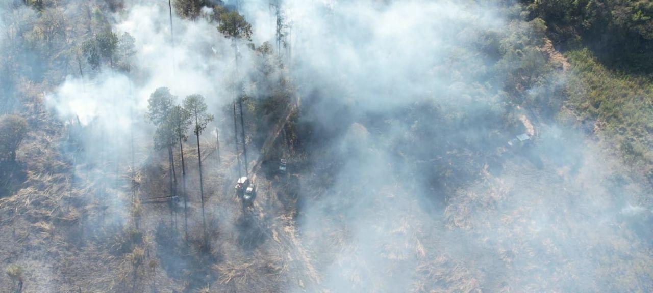 Final de semana contou com 24 acionamentos para fogo em mato e em áreas urbanas