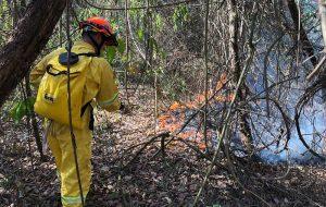 Defesa Civil alerta para risco de incêndio em razão das altas temperaturas