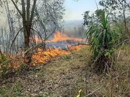 Em Cabreúva, incêndio consumiu mais de 1 milhão de m² de mata