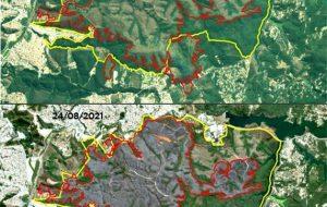 Imagens de satélite mostram que fogo atingiu 53% do Parque do Juquery