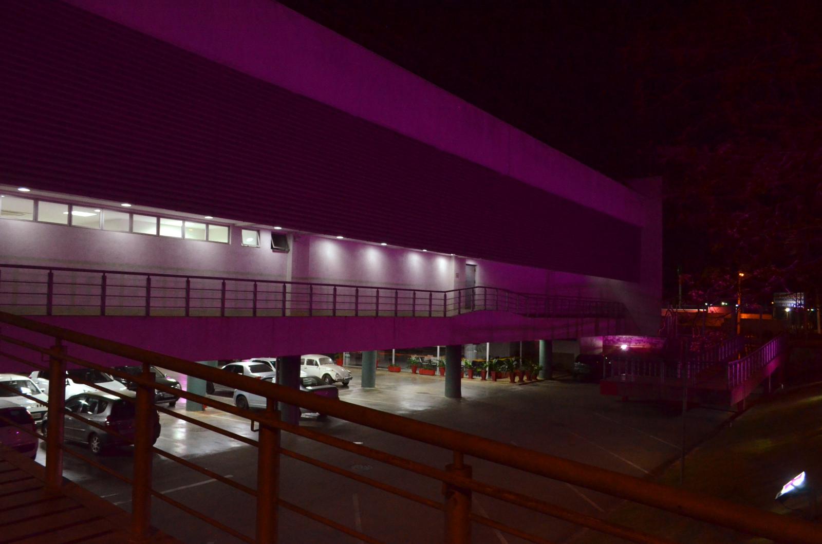 Iluminação do Palácio 1º de Novembro marca abertura do Outubro Rosa 2021 na Câmara