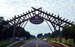 Parque Estadual do Morro do Diabo comemora 80 anos de conservação