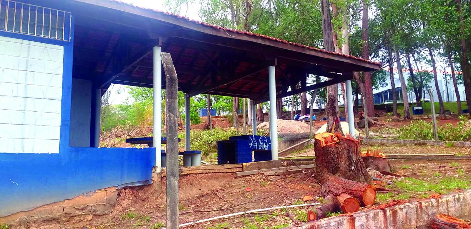 Prefeitura restaura arborização do Parque Ferraz Costa