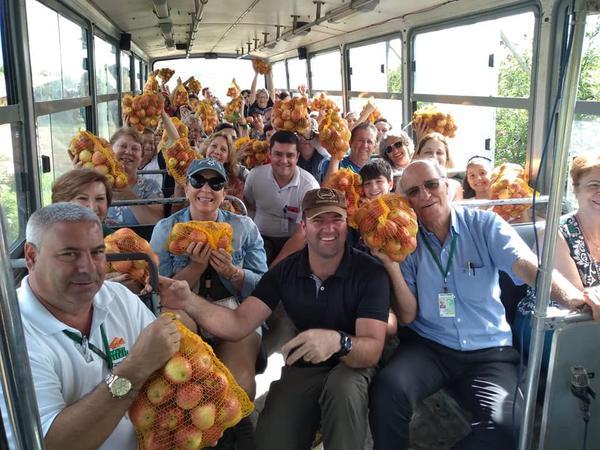 Turismo: Fraiburgo dará início a colheita da Maçã