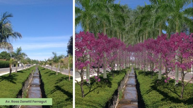 Vinhedo promove levantamento florestal para criar corredores verdes de preservação ambiental