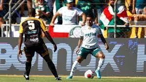 Palmeiras vence e mantém tabu contra Novorizontino no Paulistão
