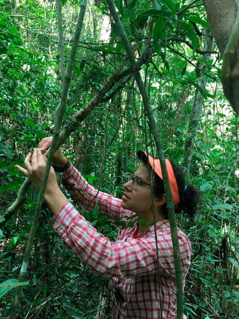 Pesquisadores estudam biodiversidade no Sistema Cantareira diante das mudanças climáticas