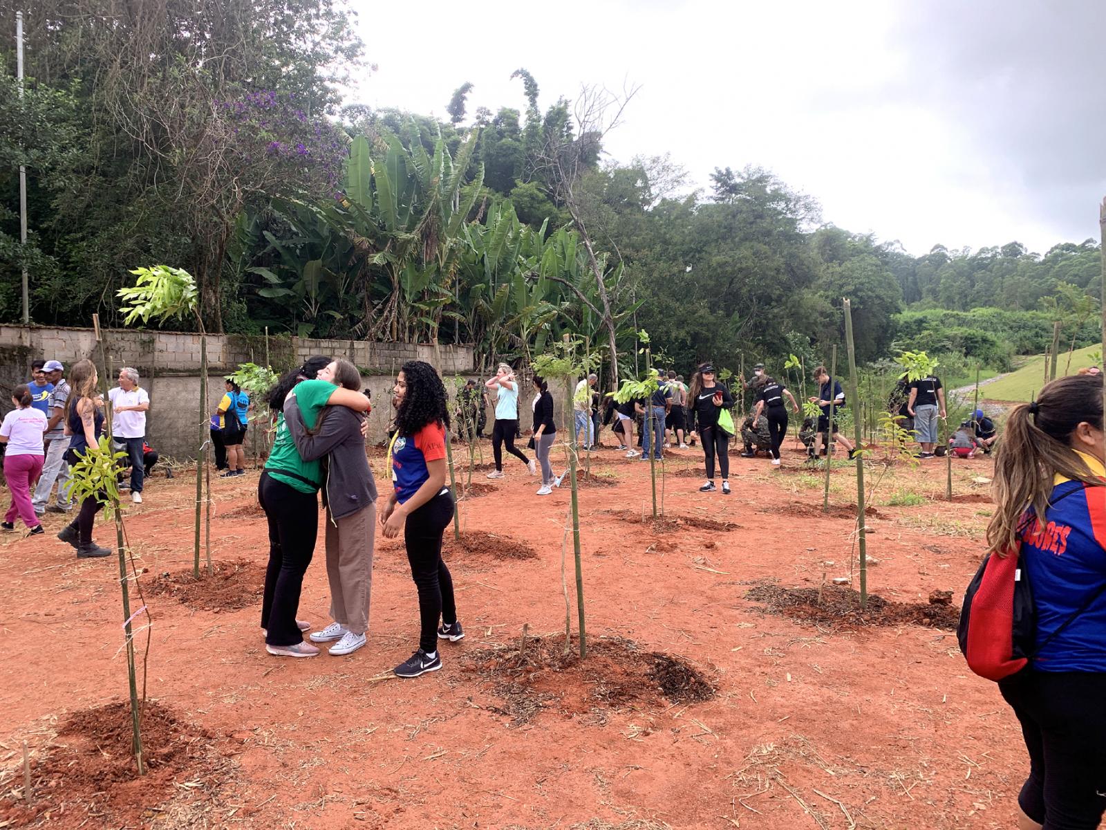 Cerca de 170 mudas de árvores são plantadas em Itatiba