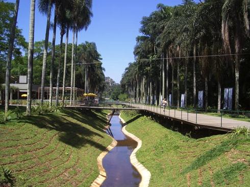 São Paulo tem mais de 500 rios subterrâneos, você sabia?