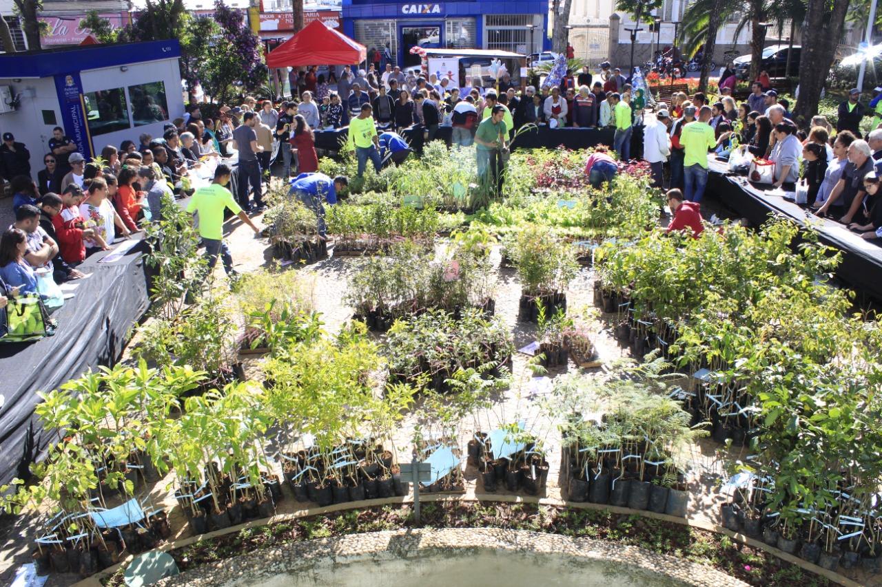 Doação de Mudas nesta sexta (03/06) marca celebrações pelo Dia Mundial do Meio Ambiente