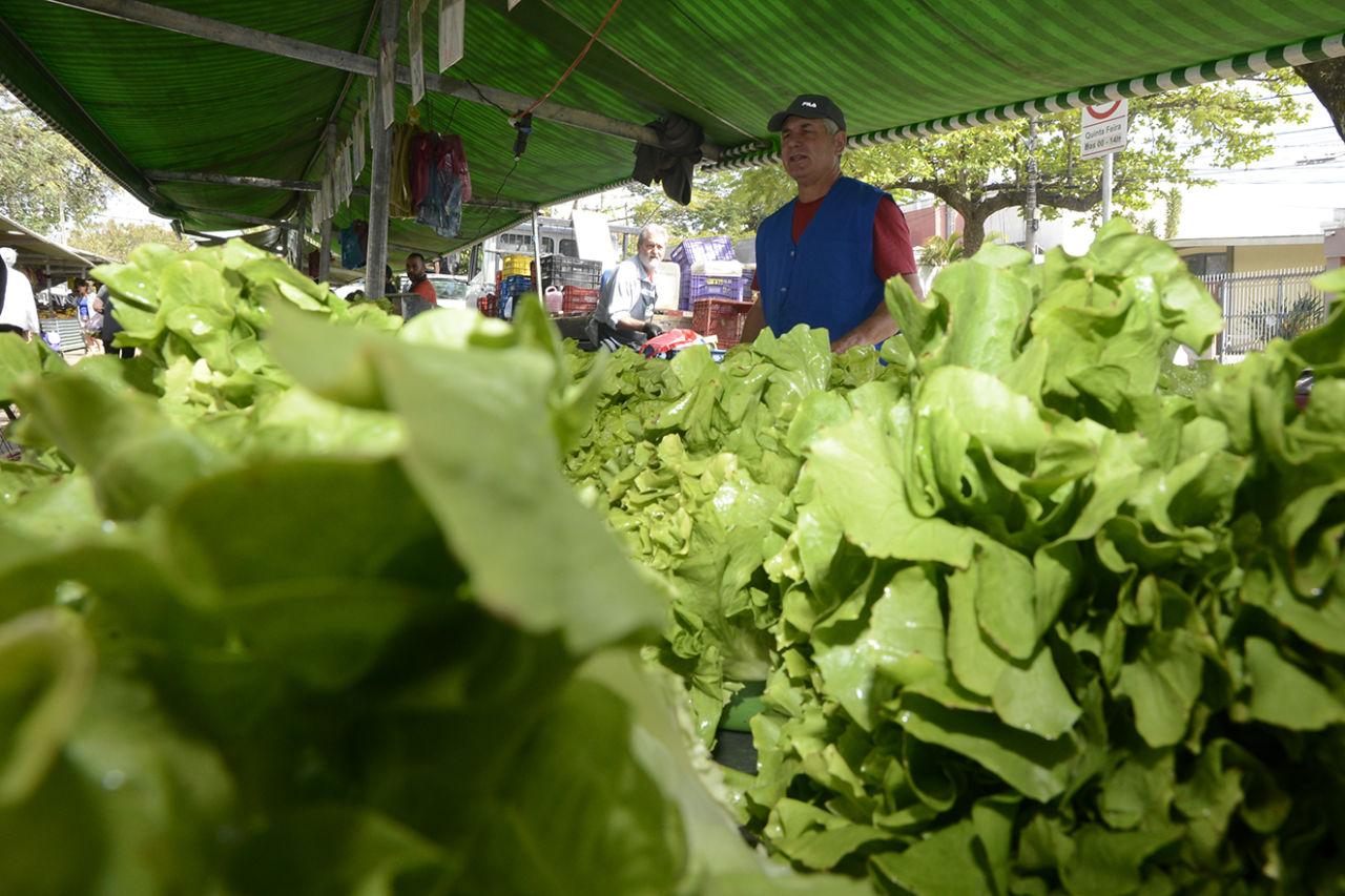 Dia do Feirante homenageia quem acorda cedo para vender produtos frescos e de qualidade