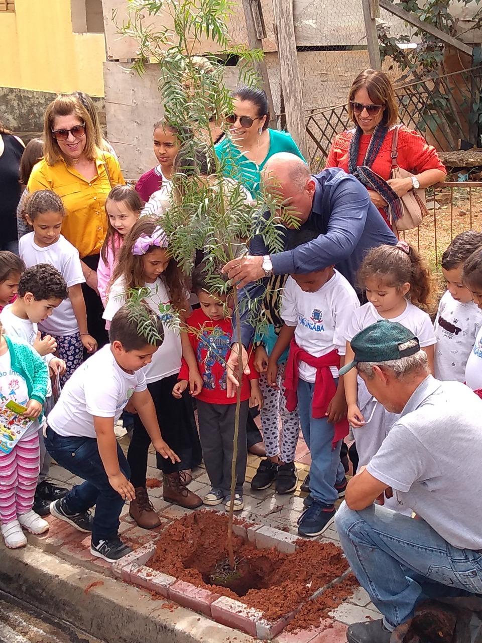 Mais de 150 árvores são plantadas em Morungaba em ação do Programa Arborização + Segura