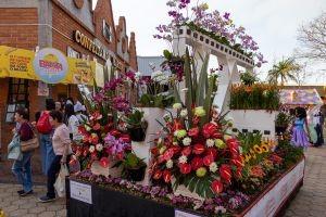 Expoflora dá as boas-vindas à Primavera com mais de 200 mil flores e plantas ornamentais