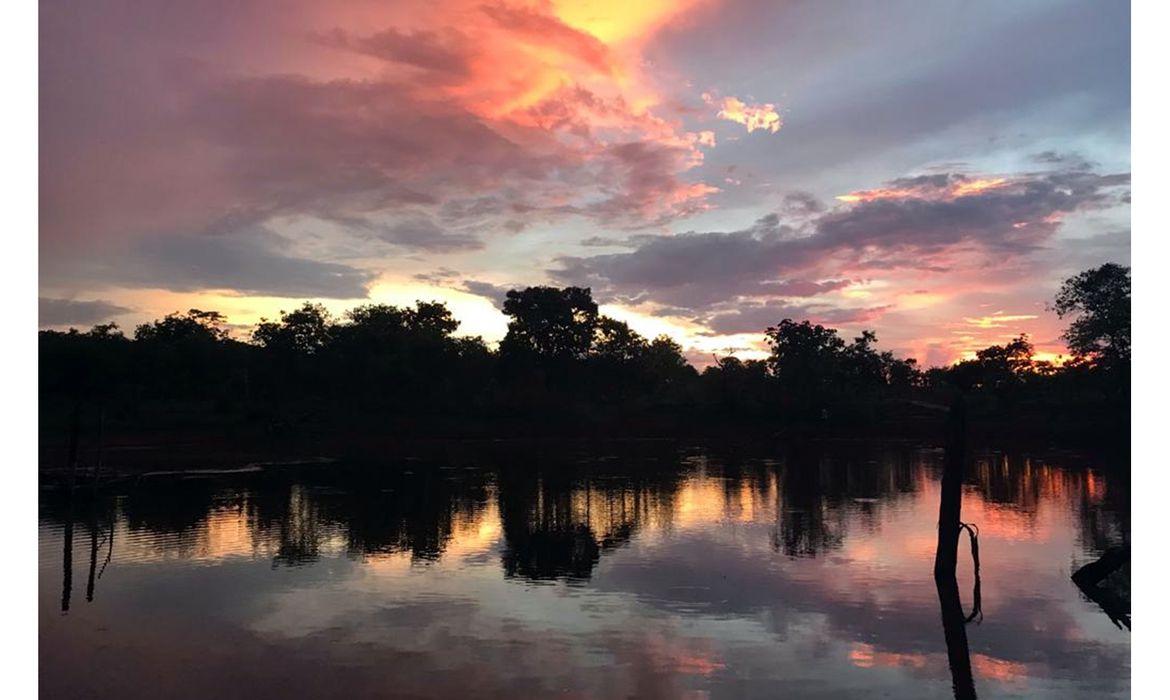 Hoje é Dia: bioma Cerrado, berço das águas, é celebrado neste domingo