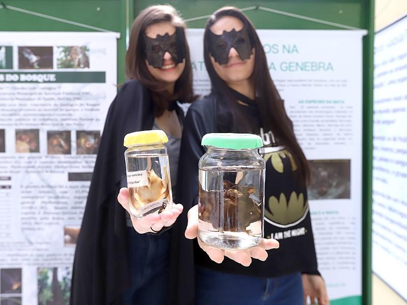 Animais Fantásticos: Bosque dos Jequitibás abre exposição sobre morcegos