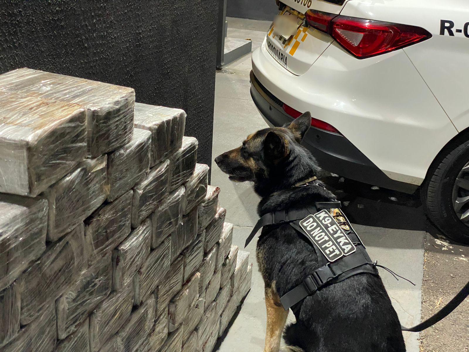Receita Federal apreende 250 kg de maconha em rodovia paulista