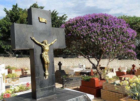 Setec faz consulta pública sobre sepultamento de animais em cemitérios