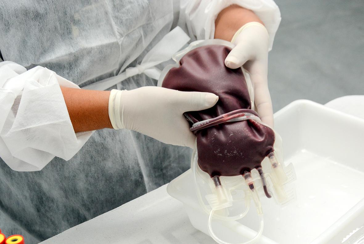 Décima primeira Campanha de Doação de Sangue será realizada neste sábado