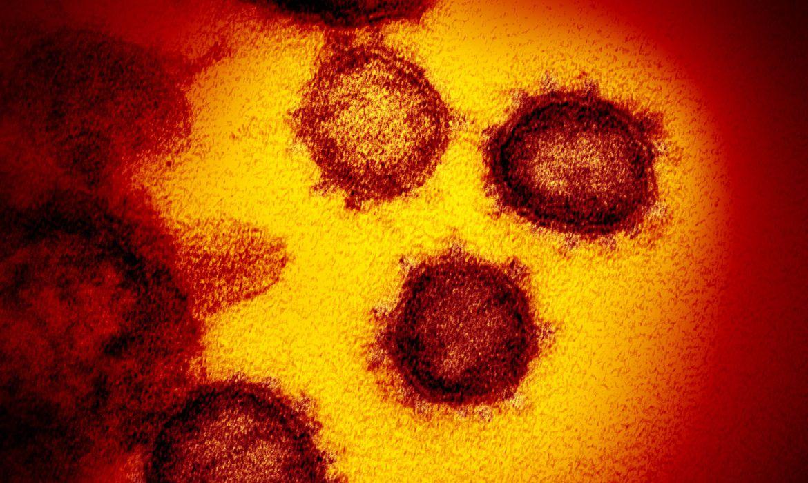 Identificadas duas linhagens novas do coronavírus no Brasil