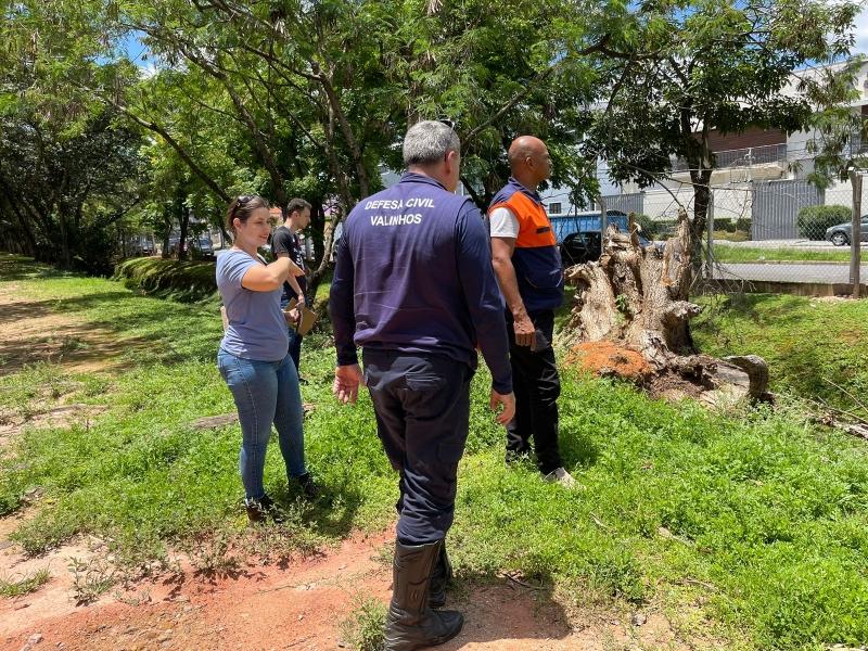 Prevenção contra temporais: Prefeitura de Valinhos faz força-tarefa para vistoriar árvores em locais públicos