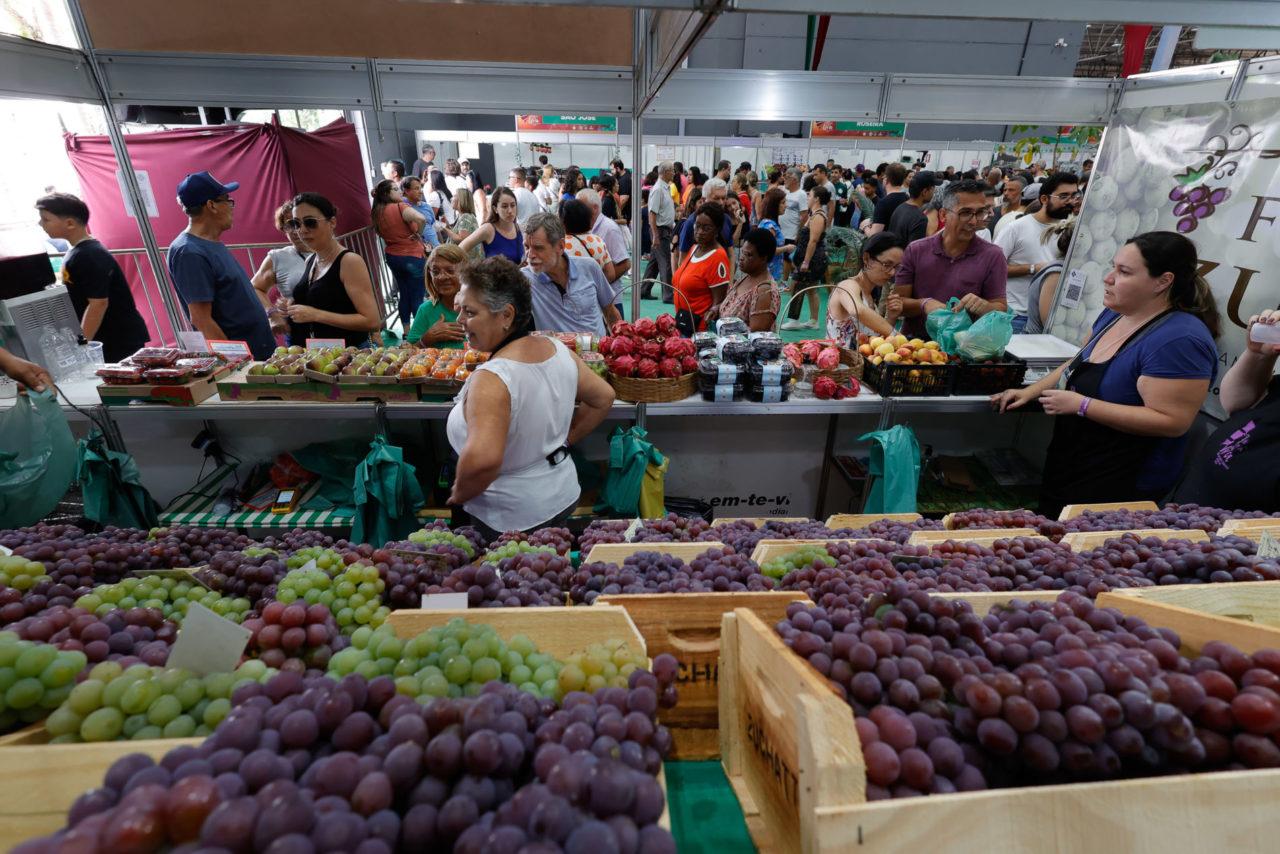 38ª Festa da Uva e 9ª Expo Vinhos bate recorde de números