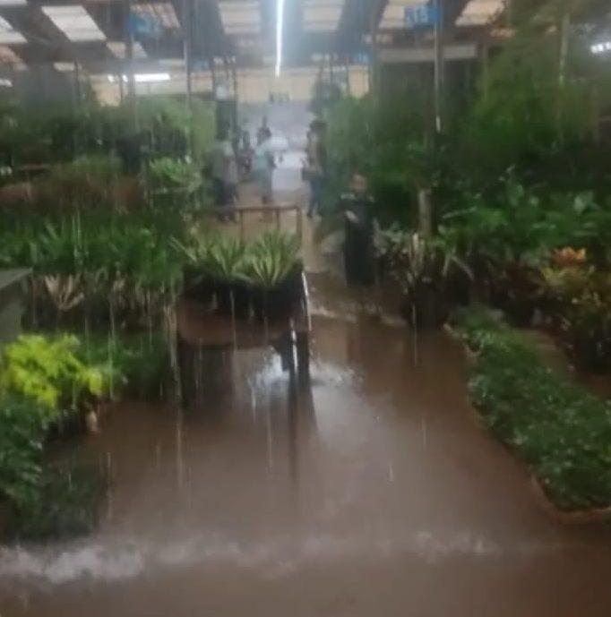 Chuva invade imóveis e Mercado de Flores do Ceasa Campinas