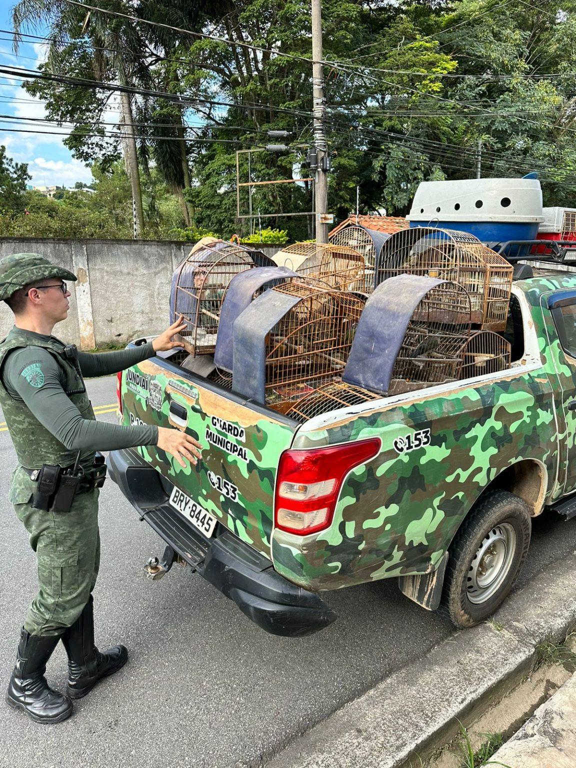 GM Florestal e Civil resgatam 77 aves silvestres que viviam em cativeiro em Jundiaí