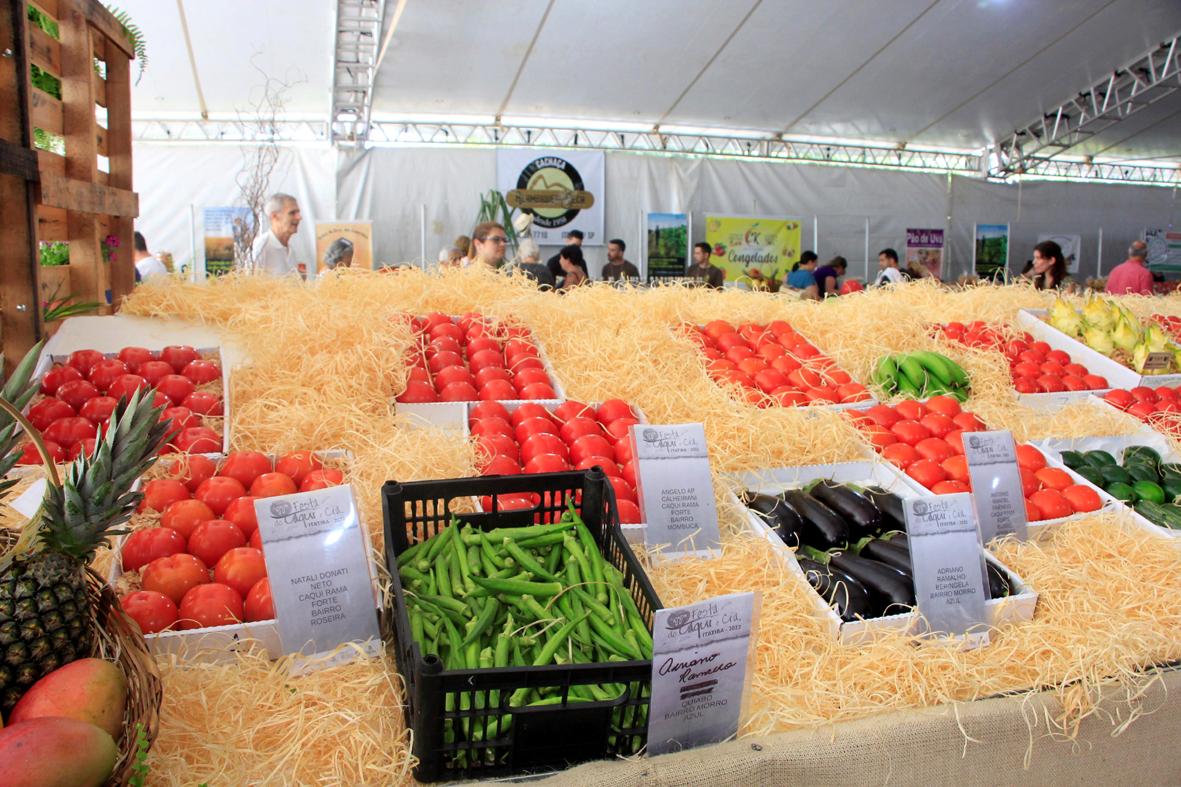 Festa do Caqui terá passeio turístico gratuito por propriedades rurais