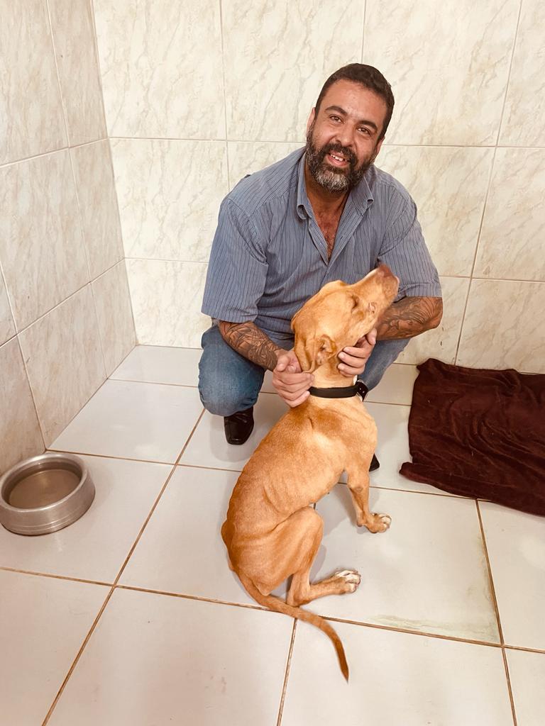 Cão Thor engorda 1,5 quilo em 6 dias