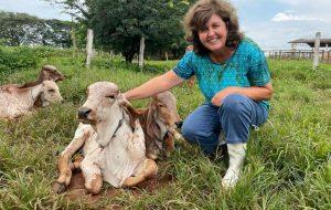 No dia do Zootecnista, pesquisadores destacam a relevância da profissão para o Agro